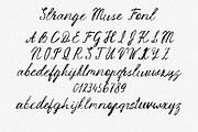 Strange Muse Messy Script Font, a Script Font by AnMark (Thumbnail 9 of 13)
