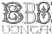 Victorian Alphabets PACK 19 FONTS !!, a Blackletter Font by Intellecta Design (Thumbnail 31 of 48)
