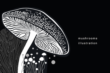 Art Collection Mushrooms., a Decorative Illustration by lenlis