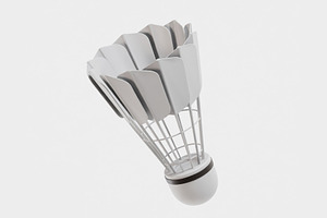 Badminton Shuttlecock, an Object 3D Model by fahad121