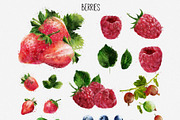 Watercolor Fruits - After Effects, a Templates & Theme by ConceptCafe (Thumbnail 11 of 14)