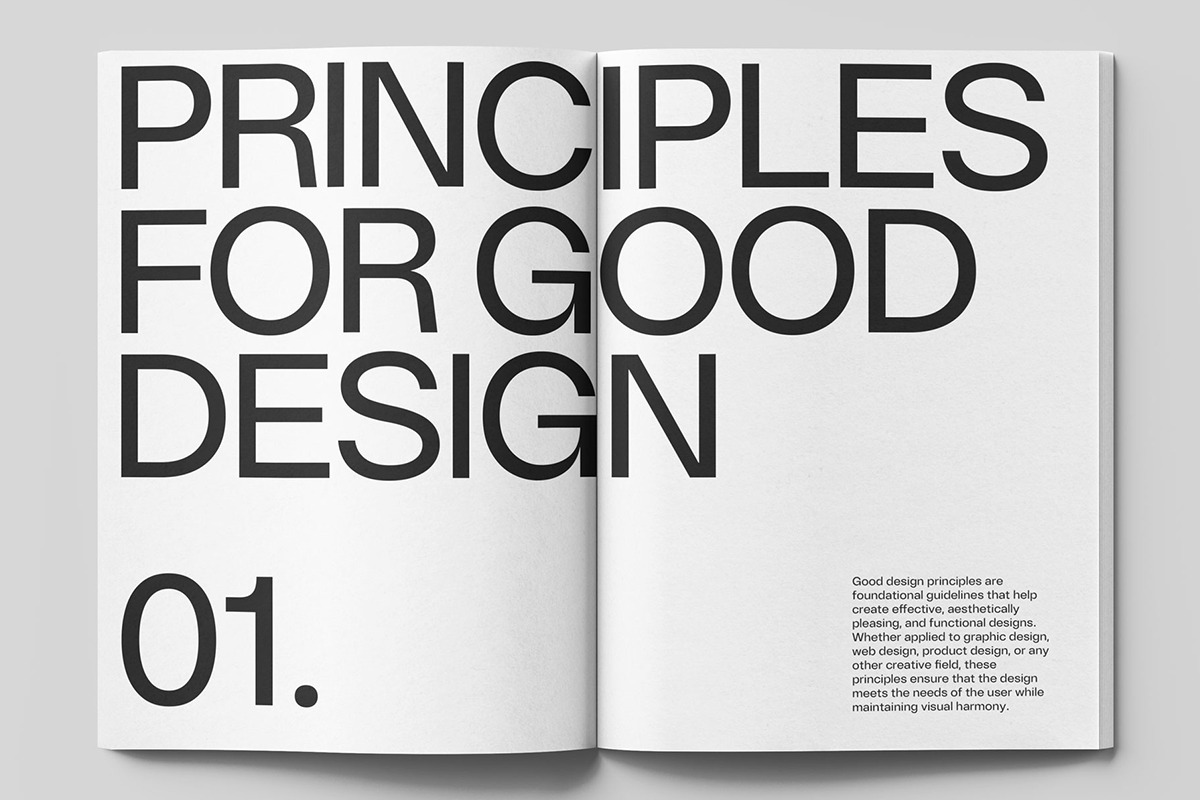 DuGrotesk, a Sans Serif Font by DKType Foundry (Photo 5 of 12)