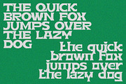 Brekid Luxurious Font, a Serif Font by Erifqizefont (Thumbnail 11 of 16)