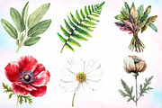 Watercolor Vintage Botanical Clipart, an Illustration by Canvas Craft (Thumbnail 2 of 3)