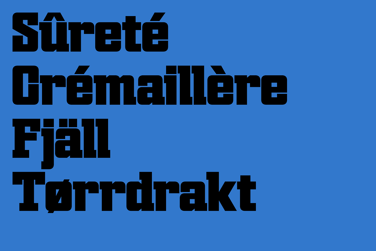 Piton, a Slab Serif Font by Nameless Type Foundry (Photo 5 of 10)