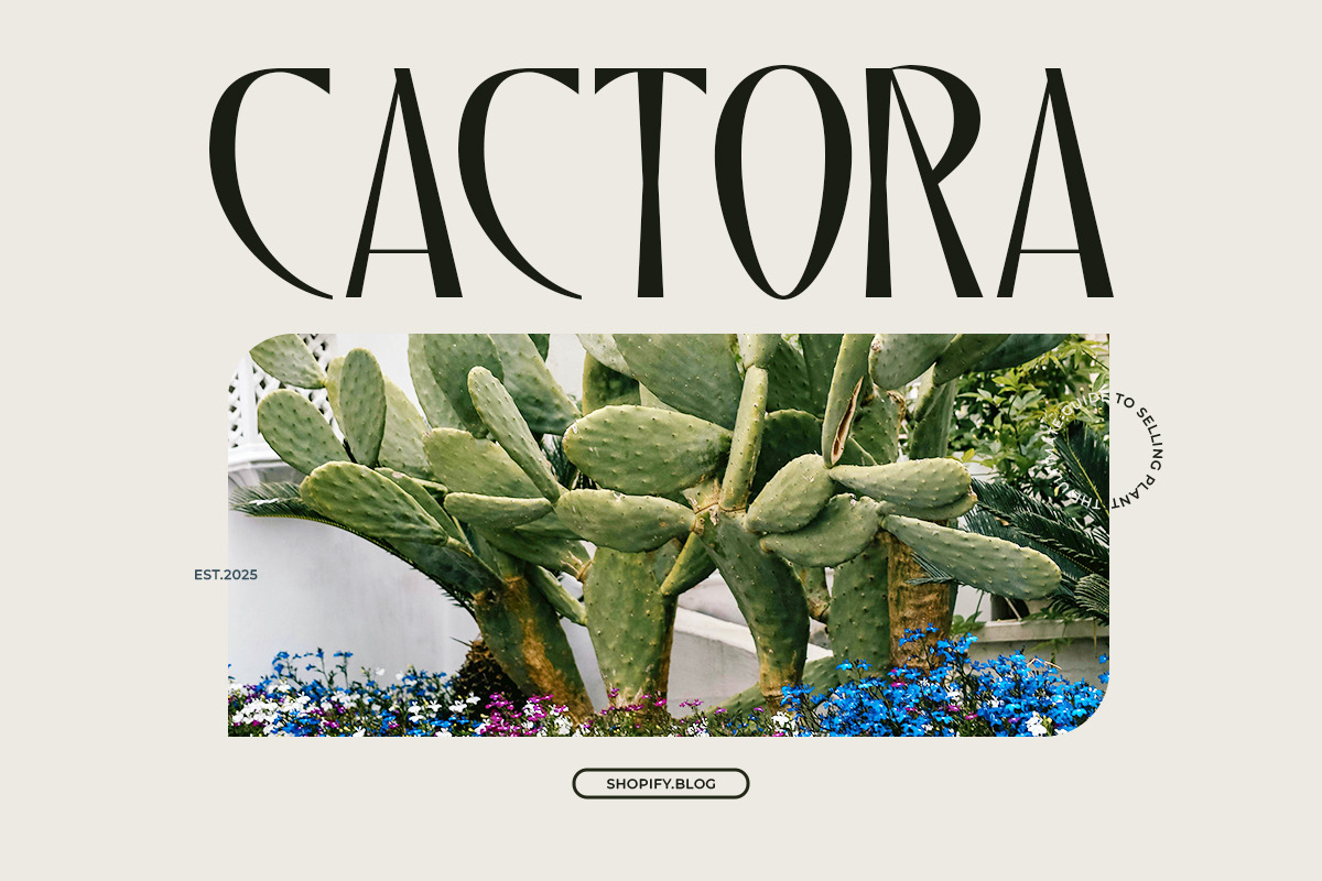 Qalodie - Elegant Modern Aesthetic, a Serif Font by roomspace creative lab (Photo 4 of 13)