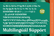 Broken Relent Decorative Serif, a Serif Font by timelesstype.co (Thumbnail 19 of 20)