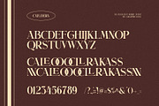 Calldera Elegant Serif Font, a Serif Font by Graphicxell (Thumbnail 10 of 10)