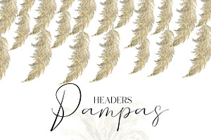 Pampas Grass. Boho Dry Herbs.