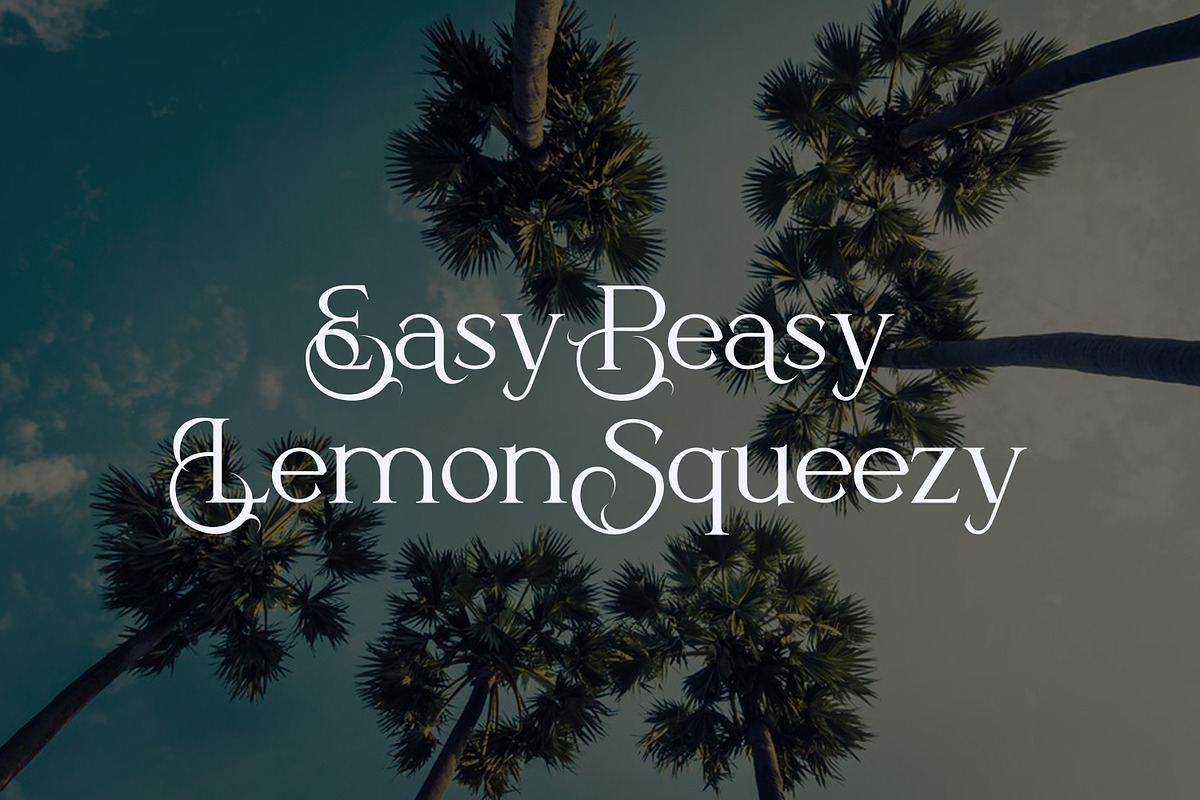 Hitorald Serif Fonts, a Serif Font by mahstudios (Photo 8 of 15)