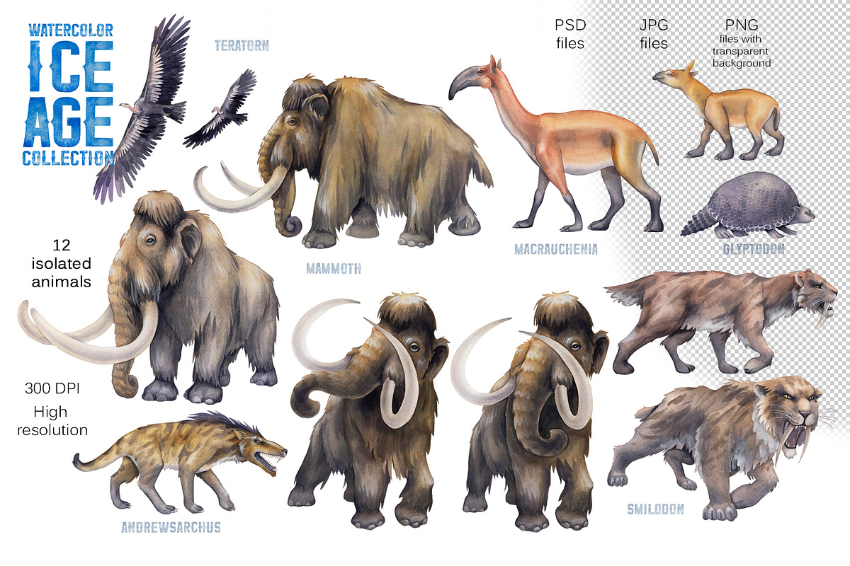 Watercolor ICE AGE collection, an Animal Illustration by Ekaterina Glazkova (Photo 2 of 9)