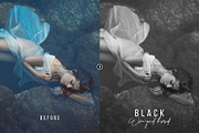 Black Winged Bird Photoshop Action, an Action Add-On by FilterAtelier (Thumbnail 3 of 7)