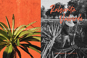 La Placha Aesthetic Brush Font, a Script Font by Hishand Studio (Thumbnail 7 of 8)