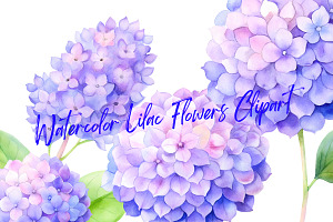 Watercolor Lilac Flowers Clipart