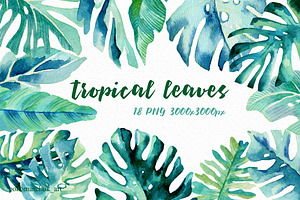 Tropical leaves set