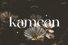 Kamean - Modern And Beauty Serif