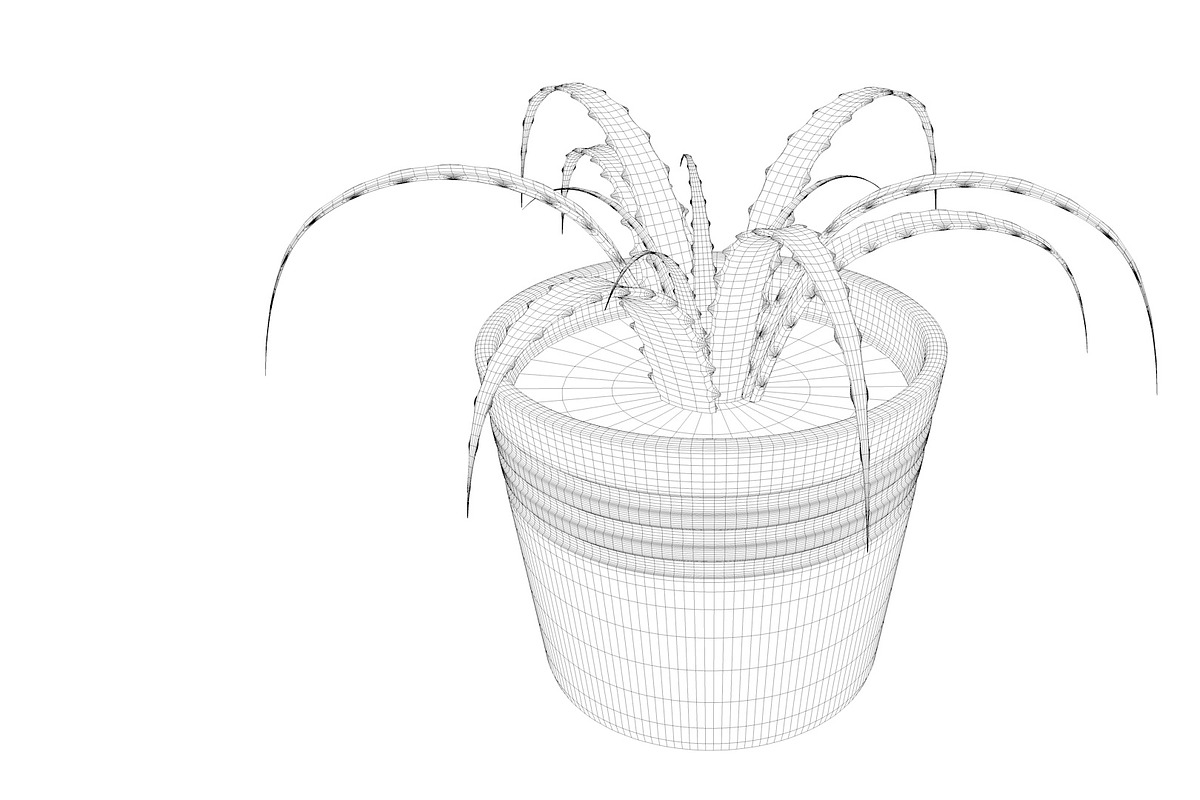 Plant n°1, an Object 3D Model by 3D Furnishing (Photo 15 of 20)