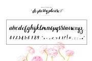 Oh pretty please: Hand lettered font, a Script Font by Pretty Please Lara (Thumbnail 4 of 4)