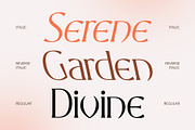 CS Marius – Classic Font, a Serif Font by Craft Supply Co. (Thumbnail 3 of 8)