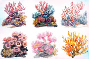 Watercolor Coral Reef Clipart Bundle, an Illustration by Canvas Craft (Thumbnail 4 of 4)