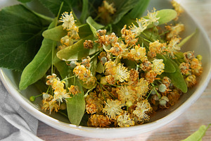 Linden blossoms for natural herbal wellness tea, a Food & Drink Photo by Olena Rudo