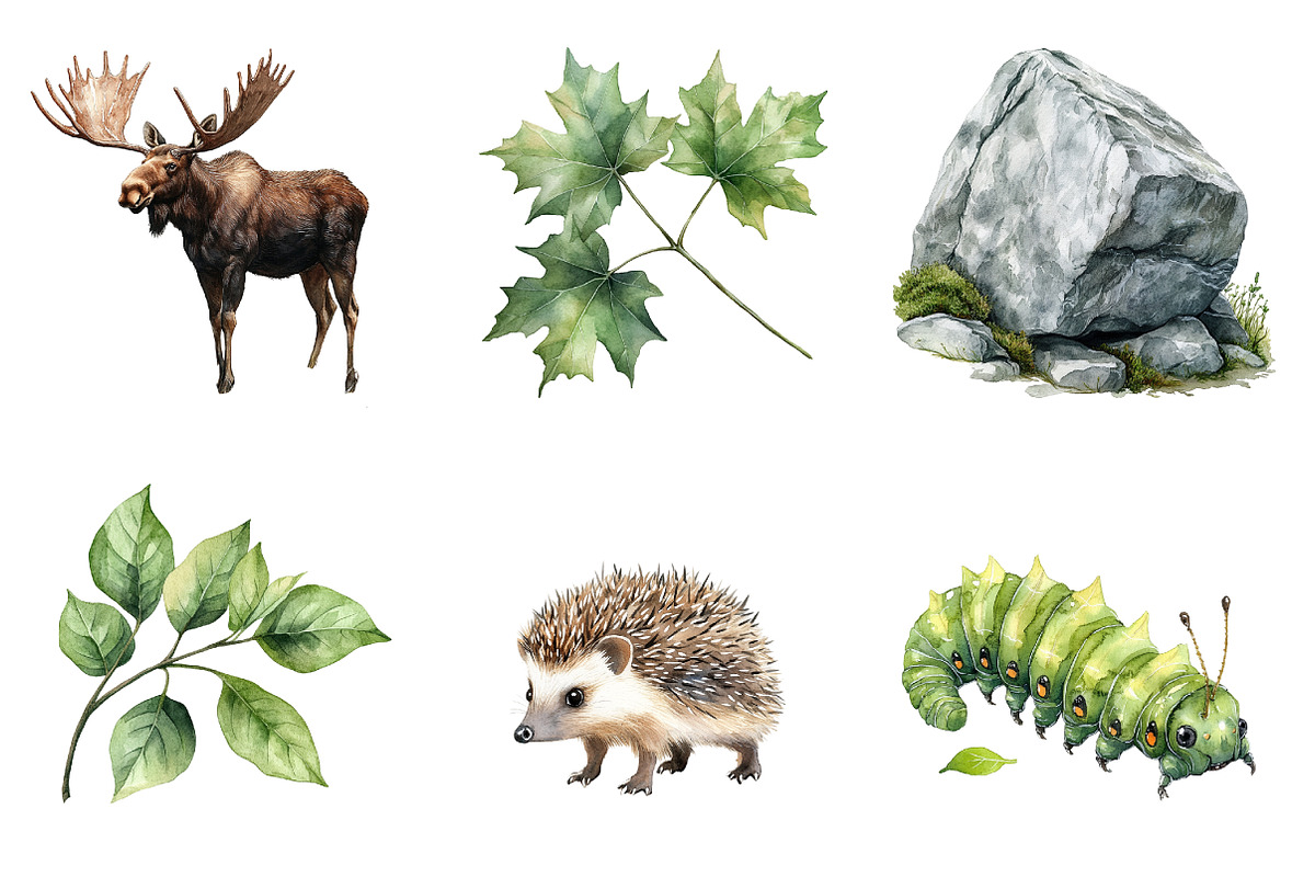 Spring Woodland Clipart, an Illustration by Design Market (Photo 4 of 5)
