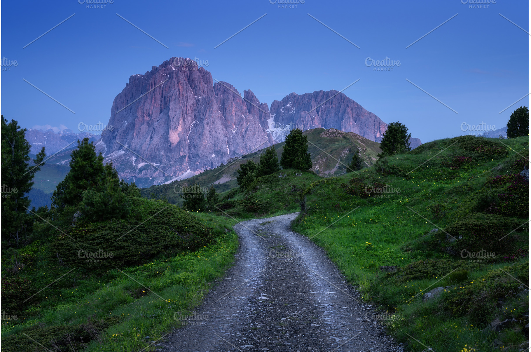 Gravel road winding through green, a Nature Photo by den-belitsky
