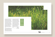 Magazine Template 10, a Magazine Template by pmvch (Thumbnail 11 of 12)