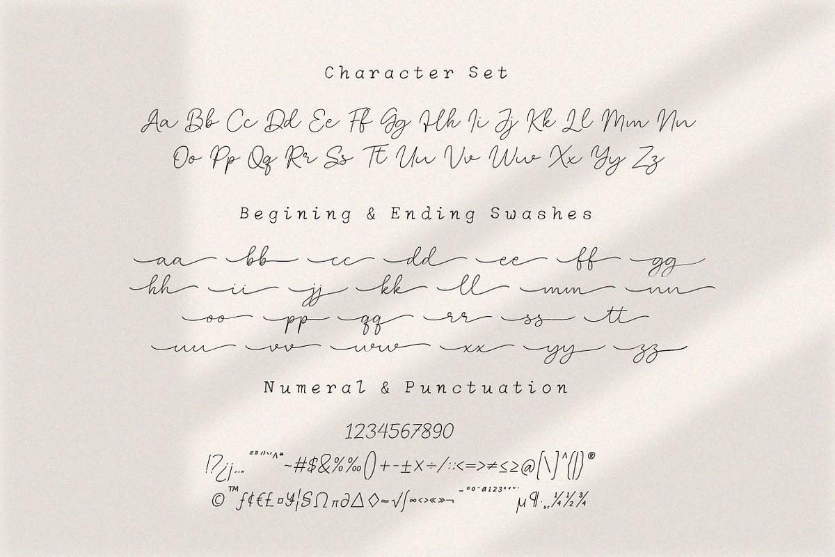 Clandia Monoline Script & Ornaments, a Script Font by Typebae (Photo 9 of 12)