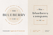 The Versatile Font Bundle, a Sans Serif Font by AlienValley (Thumbnail 134 of 141)