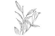 Lilies and Lotus Florals, an Object Graphic by VictoriaKStudio (Thumbnail 9 of 10)