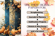 Fall Pumpkin Digital Paper Pack, a Background Graphic by LumiDigiPrints (Thumbnail 3 of 7)