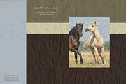 Crease - Paper Textures & Overlays, a Texture Graphic by alonahaidash (Thumbnail 3 of 15)