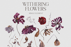 Withering Flowers. Floral Collection