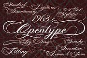 Photograph - Script Wedding Font, a Script Font by FHFont (Thumbnail 2 of 10)