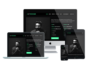 LT Resume Onepage WordPress Theme