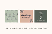 Floral Botanical Plant Illustrations, an Icon by CreativeWilderness (Thumbnail 8 of 11)