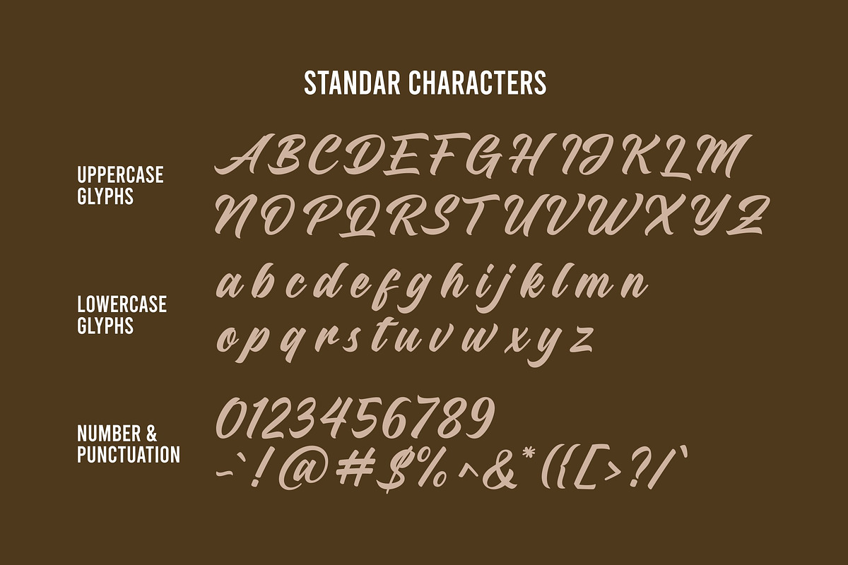 Dirtylane - Bold Script, a Script Font by ErgibiStudio (Photo 10 of 11)