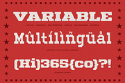 Mechwerk – Slab Serif Family, a Slab Serif Font by Invasi Studio (Thumbnail 12 of 13)