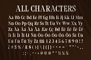 CS Ariela – Classic Font, a Serif Font by Craft Supply Co. (Thumbnail 8 of 8)