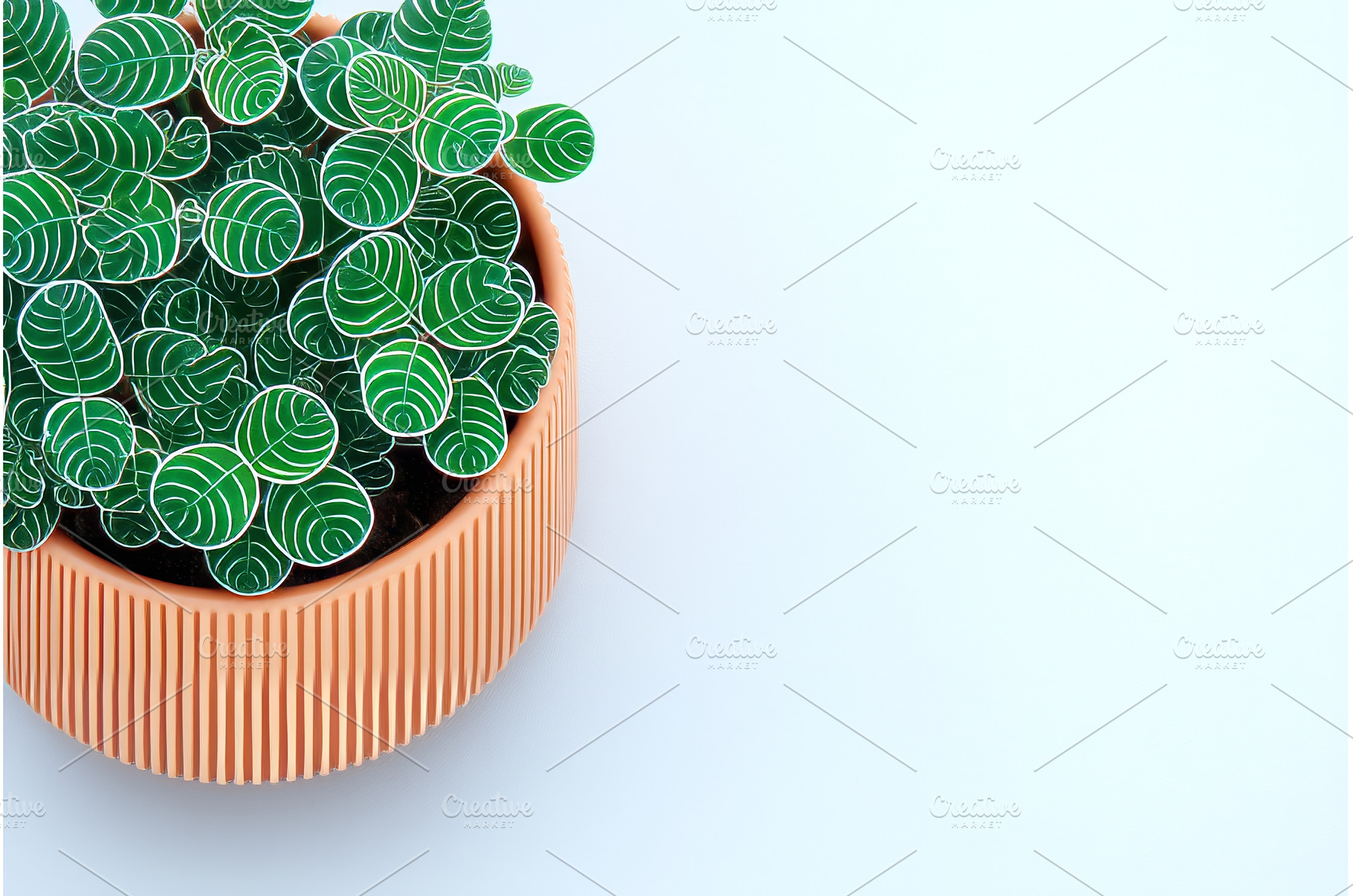 On a white background, a pattern is, a Nature Photo by ZinetroN
