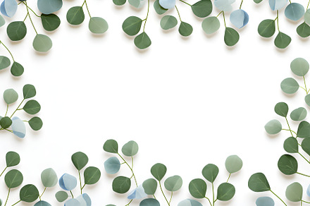 Green eucalyptus leaves, a Background Photo by NimraAmjad