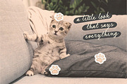 Secret Motion Handwritten Font Duo, a Handwritten Font by Littlehand (Thumbnail 10 of 11)