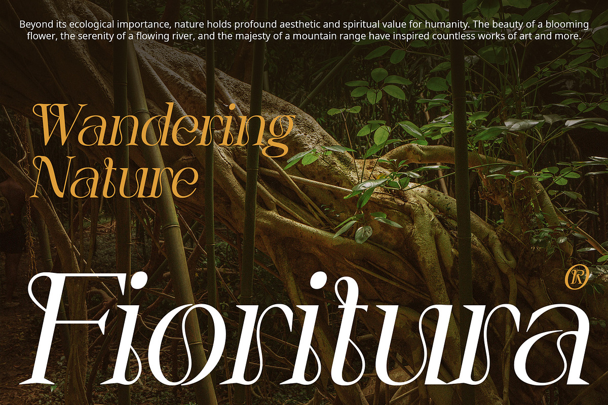 Varelle – Art Nouveau Font, a Serif Font by Craft Supply Co. (Photo 3 of 8)