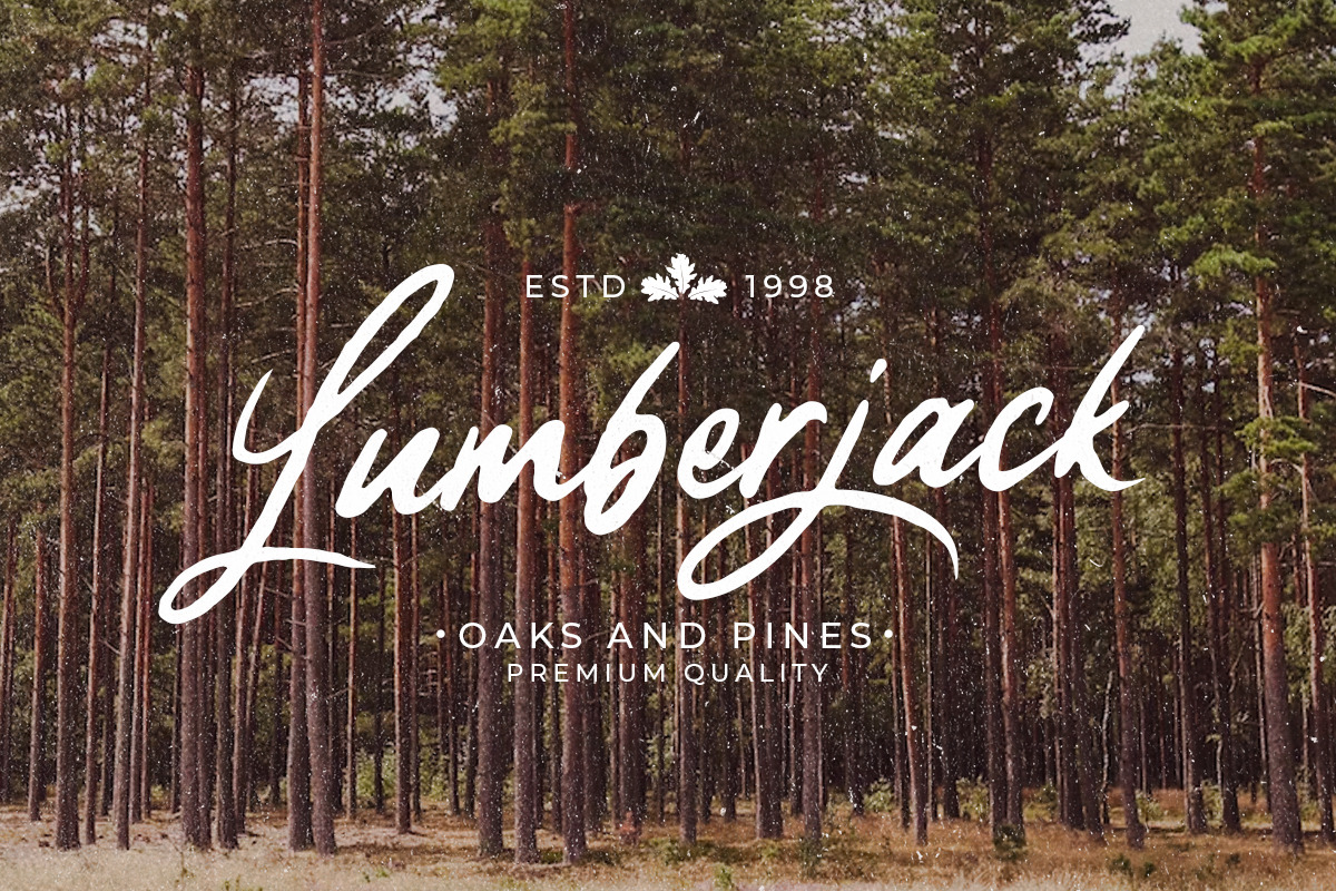 TImberland - Organic Script, a Script Font by Letterhend Studio (Photo 4 of 9)