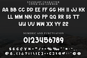 Winter Space, a Sans Serif Font by FreshTypeINK (Thumbnail 7 of 8)