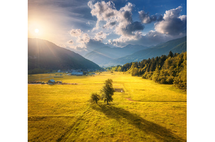 Aerial view of trees in alpine, a Nature Photo by den-belitsky