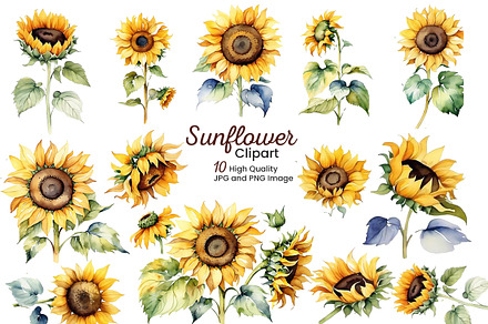 Sunflower clipart set, a Background Graphic by Pixeness