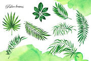 Watercolor jungle set, an Illustration by Watercolor & sketches (Thumbnail 4 of 13)