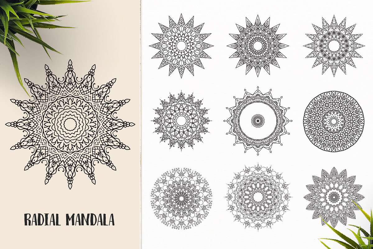 530 Vector Mandala Ornaments, an Animal Illustration by pixaroma (Photo 48 of 55)